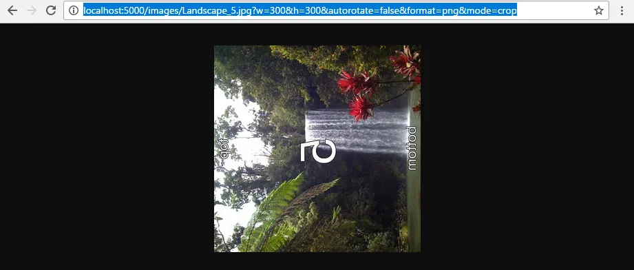 Cropped square image test